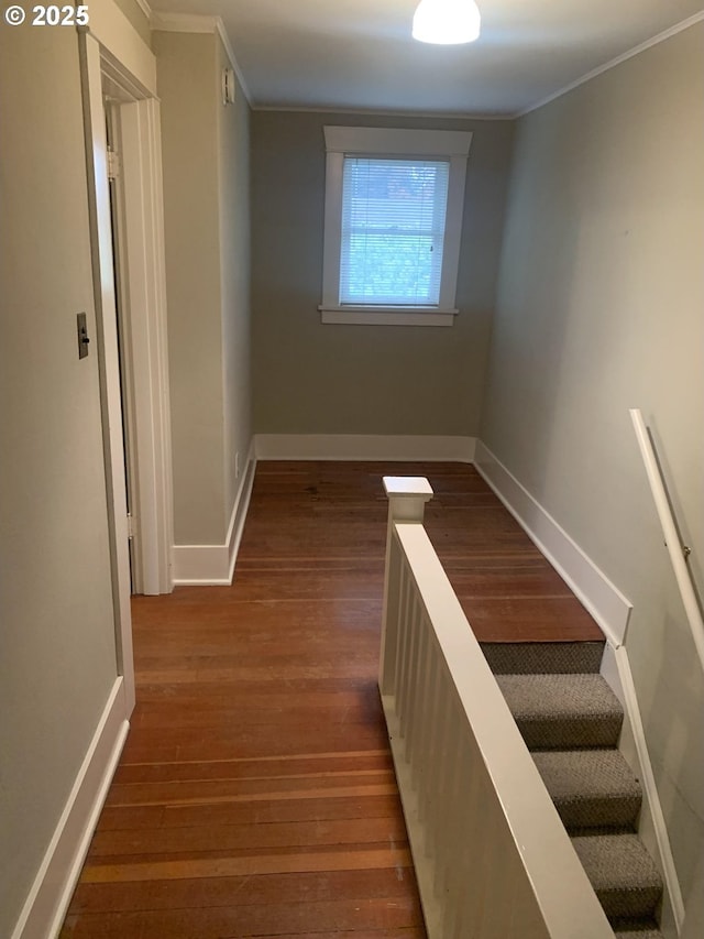 interior space with crown molding and wood-type flooring