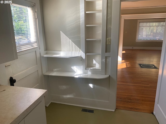 interior space featuring hardwood / wood-style floors