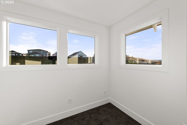 unfurnished room with a wealth of natural light and carpet floors