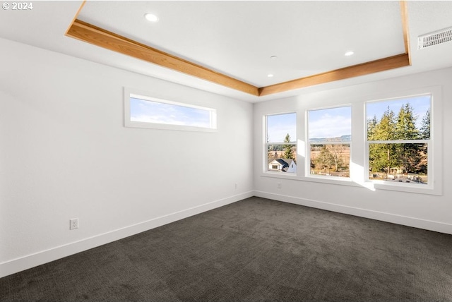 carpeted spare room with a tray ceiling