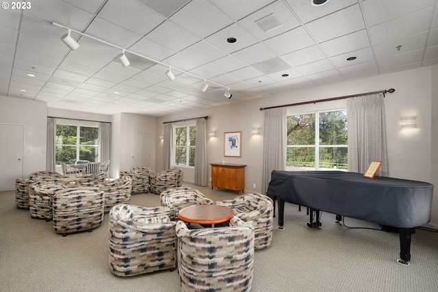 carpeted living room featuring a drop ceiling, rail lighting, and plenty of natural light