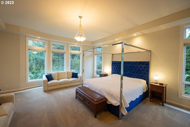 carpeted bedroom featuring multiple windows