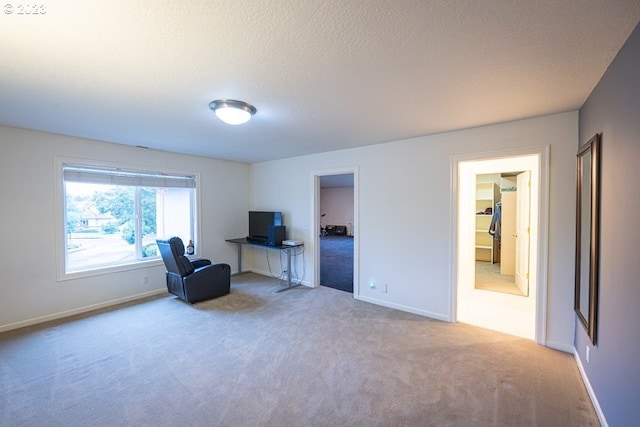 sitting room featuring a textured ceiling and light colored carpet