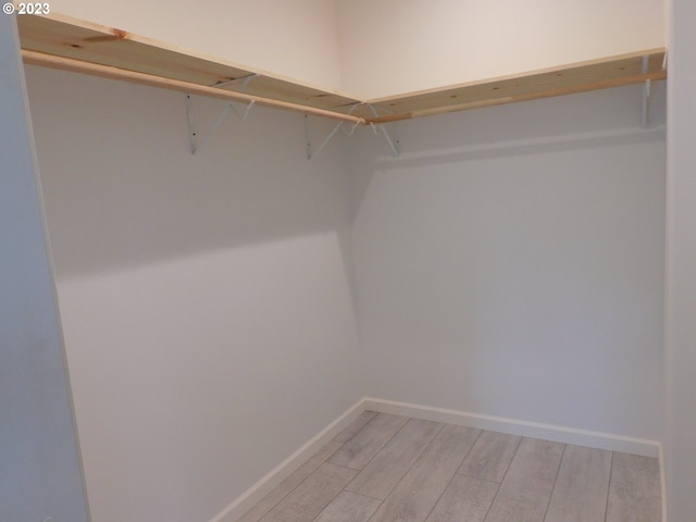 spacious closet featuring light wood-style floors