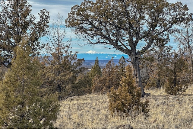 Listing photo 2 for 12229 SE Rowan Ct Unit 4, Prineville OR 97754