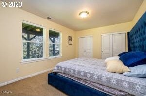 bedroom featuring multiple closets and carpet flooring