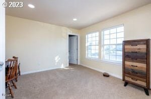 office area featuring light colored carpet