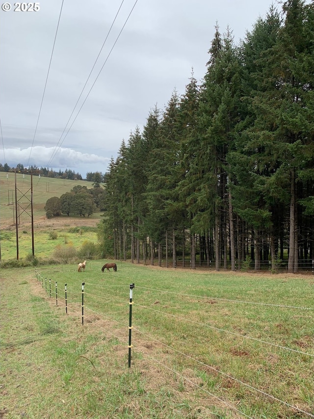 view of yard with a rural view