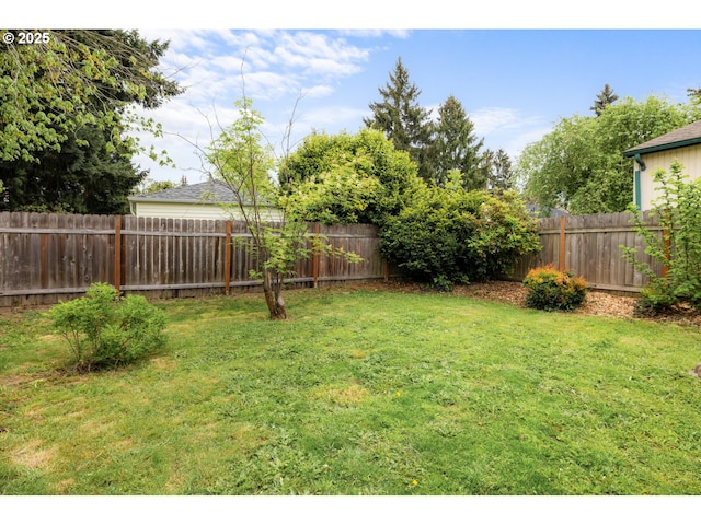 view of yard featuring a fenced backyard
