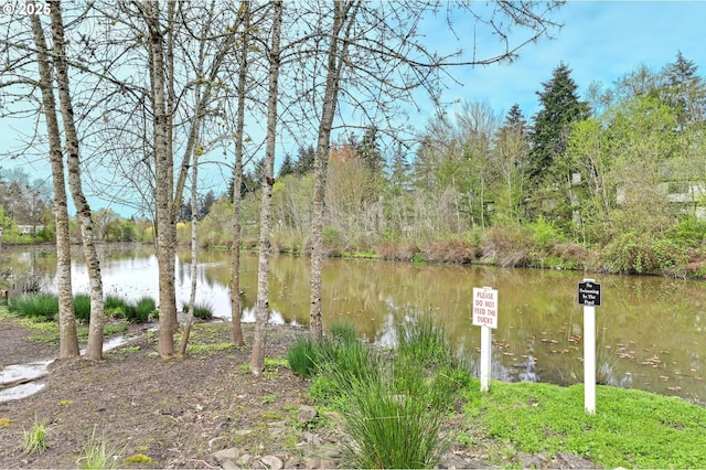 property view of water