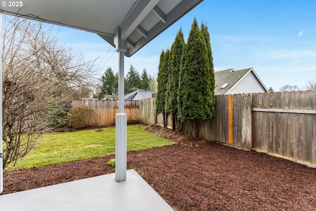 view of yard featuring a patio area