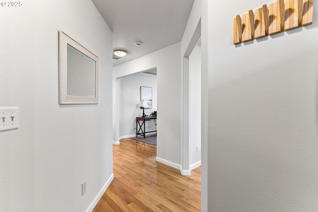 hall with light hardwood / wood-style flooring