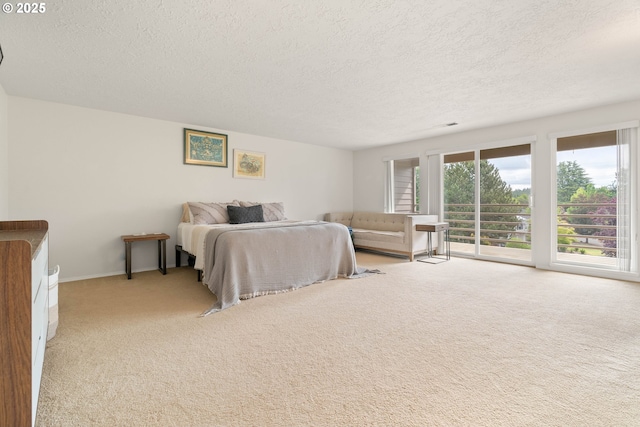 16190 SW Theresa Ct, Beaverton, OR 97007 - bedroom with carpet flooring, a textured ceiling, and access to exterior