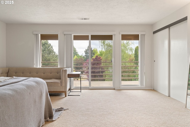 16190 SW Theresa Ct, Beaverton, OR 97007 - carpeted bedroom featuring multiple windows, a textured ceiling, and access to exterior