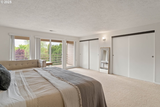 16190 SW Theresa Ct, Beaverton, OR 97007 - carpeted bedroom with two closets and a textured ceiling