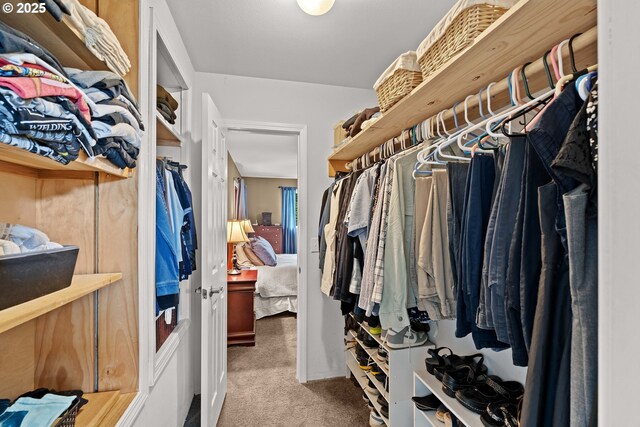 spacious closet with carpet flooring