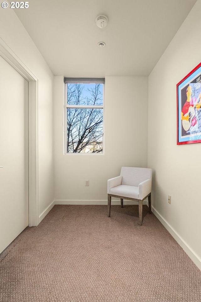 sitting room with carpet