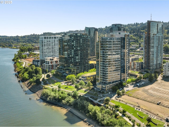 view of city featuring a water view