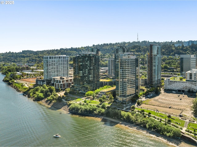 birds eye view of property featuring a water view