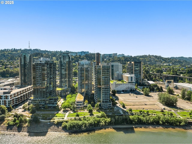 view of city featuring a water view