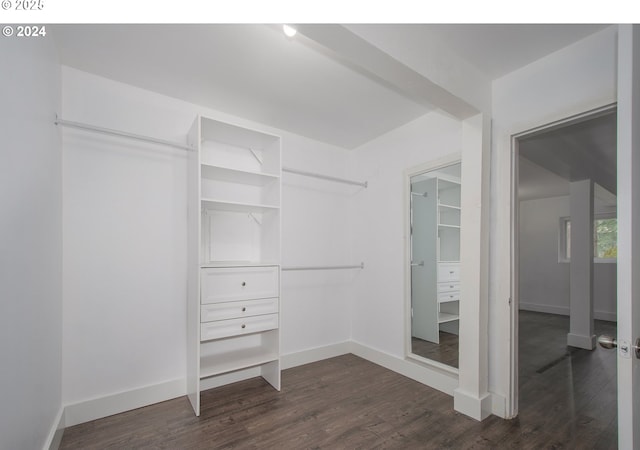 spacious closet with dark hardwood / wood-style flooring