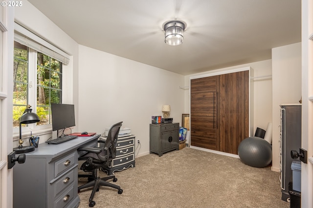 office space featuring light colored carpet and baseboards