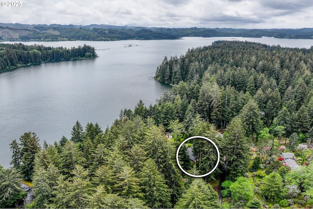 aerial view of a forest and a water and mountain view