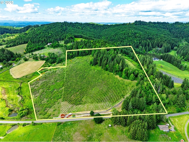 27161 Briggs Hill Rd, Eugene, OR 97405 - overview of rural landscape featuring a forest and property boundaries highlighted