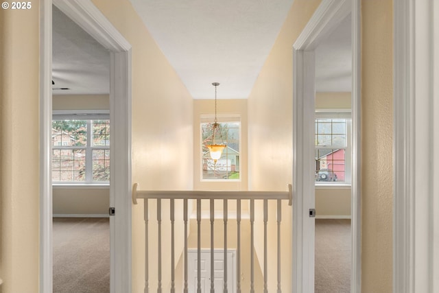 hall featuring carpet flooring, a healthy amount of sunlight, and baseboards