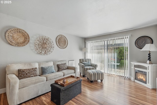 1100 N Meridian St Unit 46, Newberg, OR 97132 - living room with wood finished floors and a glass covered fireplace