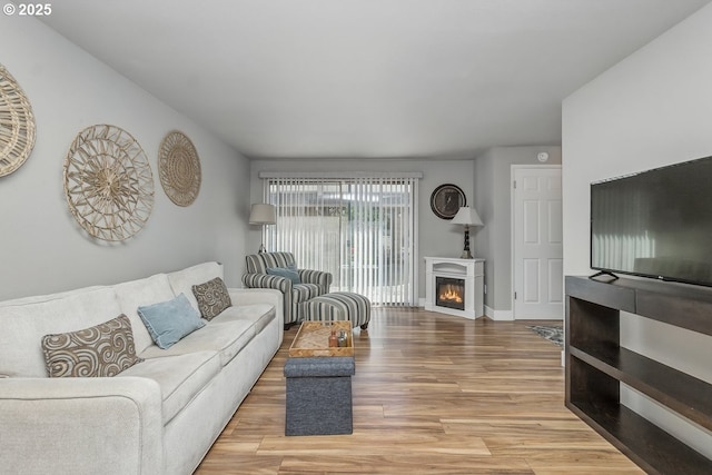 1100 N Meridian St Unit 46, Newberg, OR 97132 - living room featuring wood finished floors and a glass covered fireplace