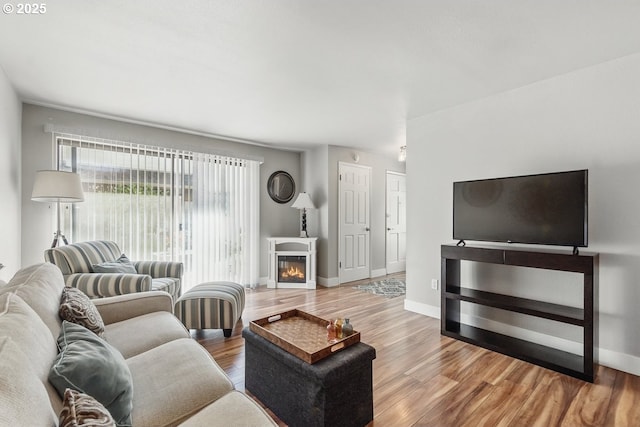 1100 N Meridian St Unit 46, Newberg, OR 97132 - living area with wood finished floors and a glass covered fireplace