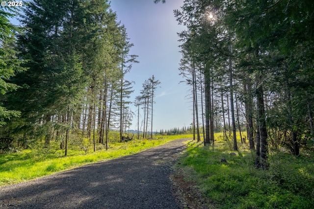 2333 Crooked Finger Rd, Scotts Mills, OR 97375