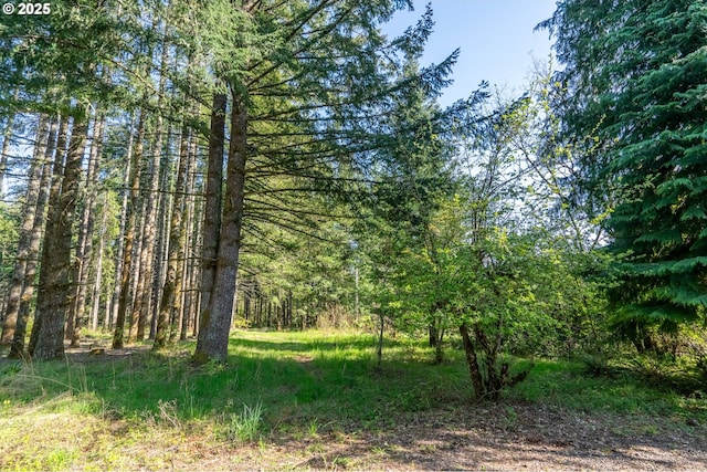 2333 Crooked Finger Rd, Scotts Mills, OR 97375