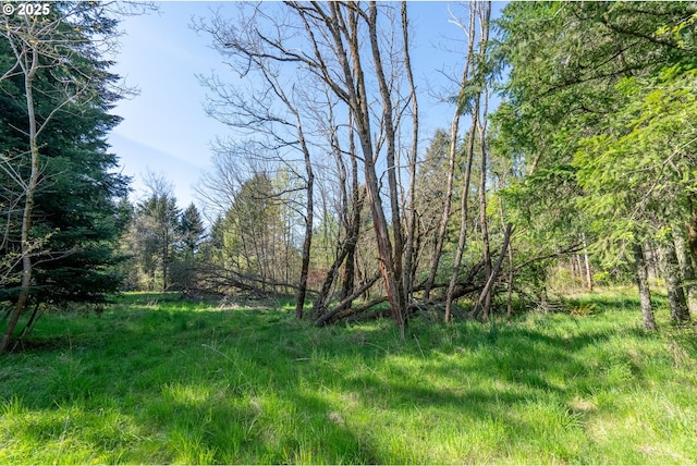 2333 Crooked Finger Rd, Scotts Mills, OR 97375