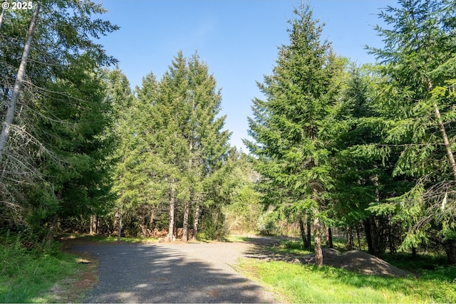 2333 Crooked Finger Rd, Scotts Mills, OR 97375