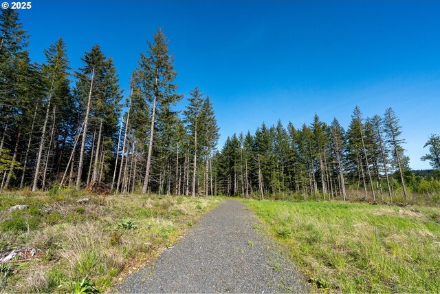 2333 Crooked Finger Rd, Scotts Mills, OR 97375