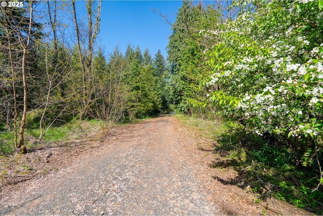 2333 Crooked Finger Rd, Scotts Mills, OR 97375
