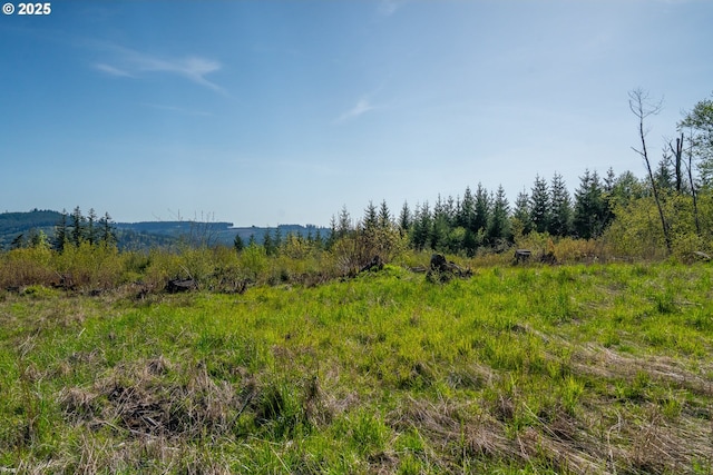 2333 Crooked Finger Rd, Scotts Mills, OR 97375
