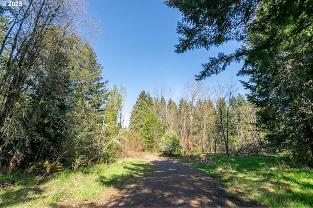 2333 Crooked Finger Rd, Scotts Mills, OR 97375