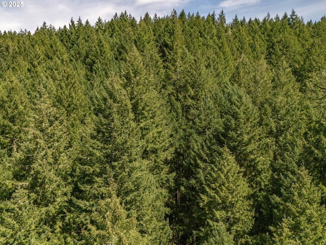 18675 SW Forest Park Rd, Hillsboro, OR 97123