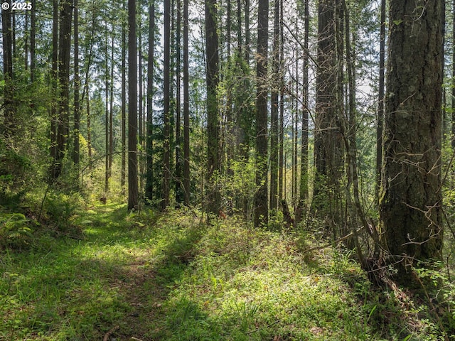 18675 SW Forest Park Rd, Hillsboro, OR 97123