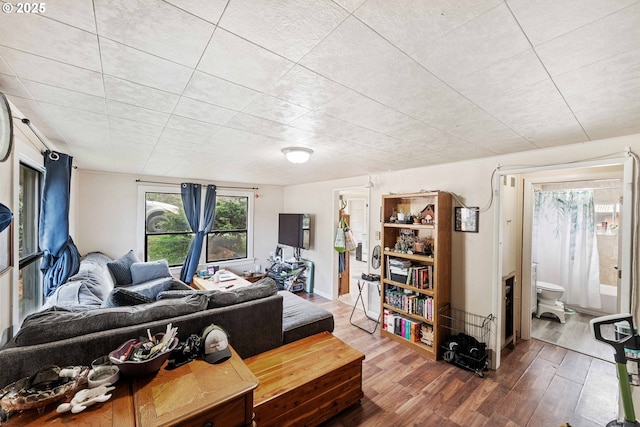 living room featuring wood finished floors