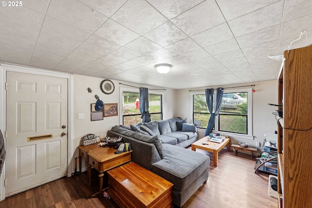 living area with wood finished floors