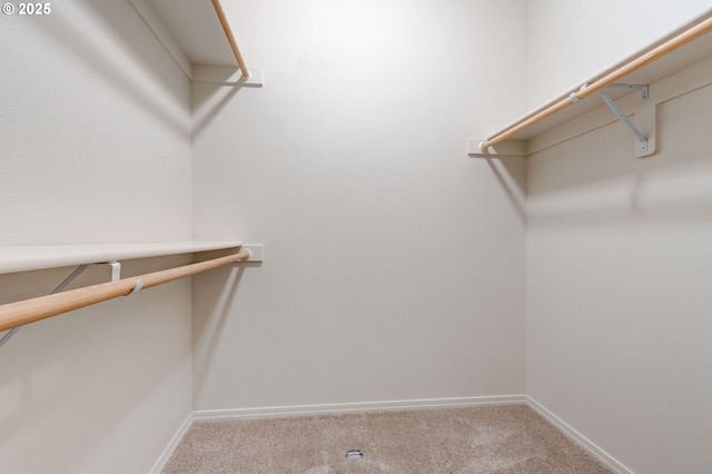 spacious closet featuring light carpet