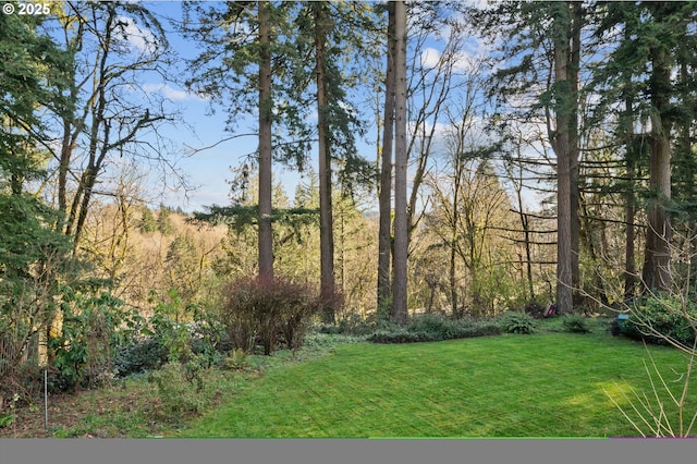 view of yard with a view of trees