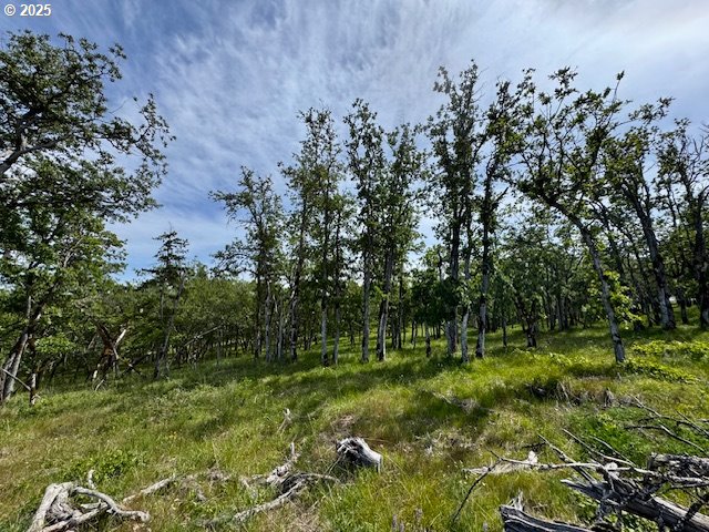 Huskey Rd, Mosier, OR 97040