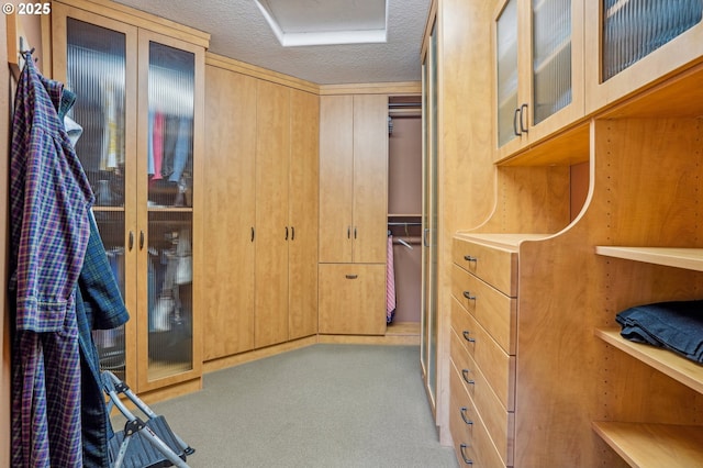 walk in closet with carpet floors