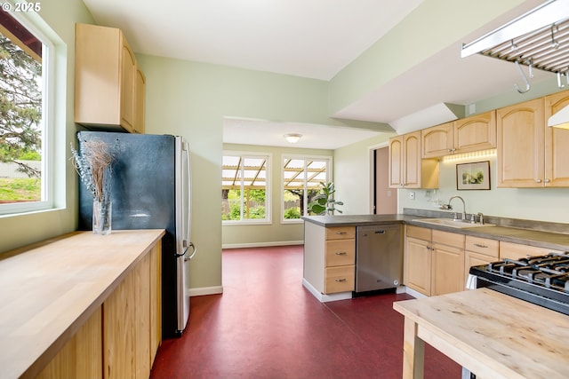 6308 SE 93rd Ave, Portland, OR 97266 - kitchen with a sink, appliances with stainless steel finishes, light brown cabinets, and a wealth of natural light