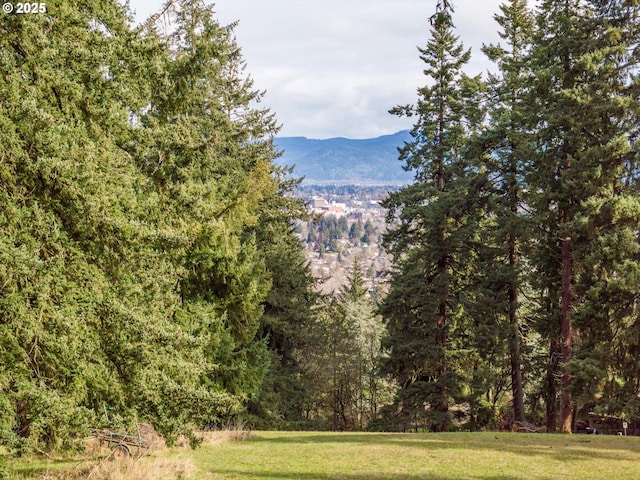 view of mountain feature featuring a forest view